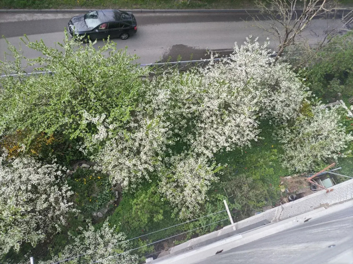 Квартира Однокомнатная в 10 Минутах  от  Верхнего Озера