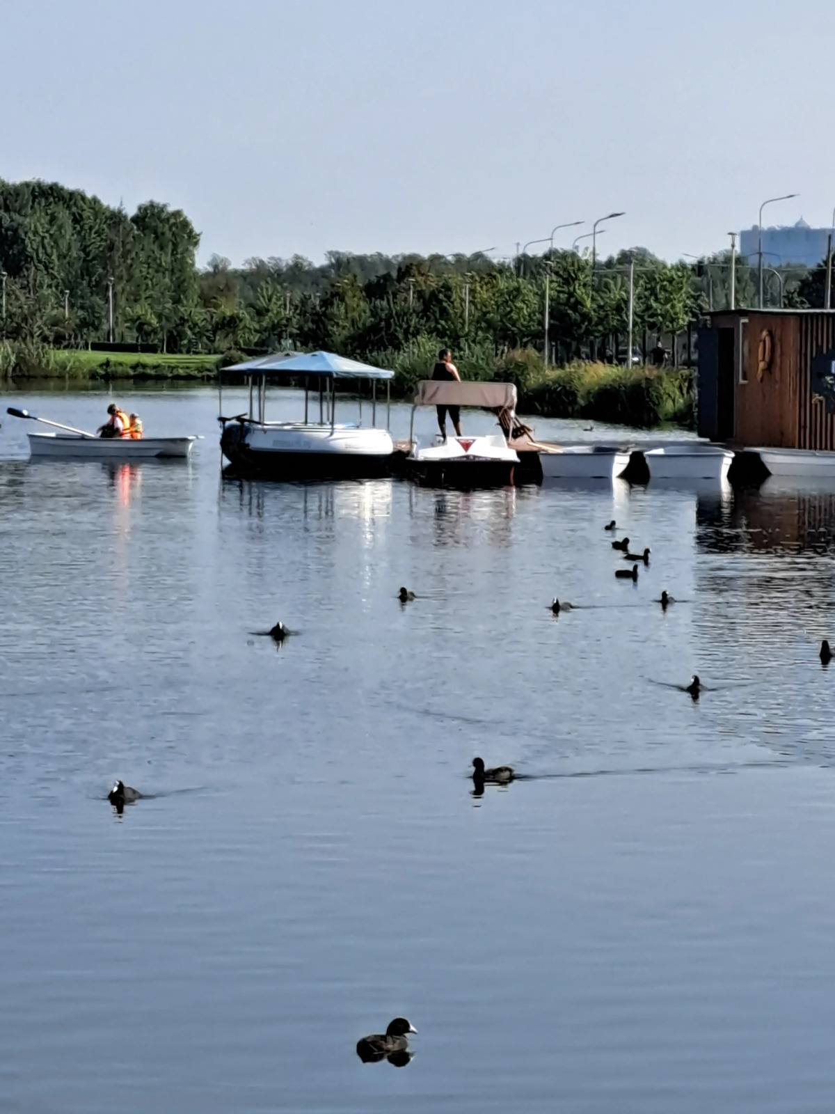 Квартира рядом с Озерами и Парками в Новом ЖК София
