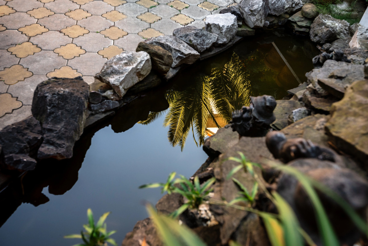 Мебелированные комнаты Азалия Центральный