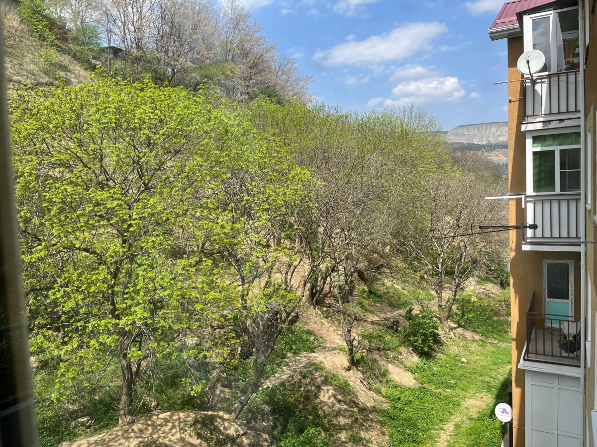 Квартира Большая Двухкомнатная в Кисловодске