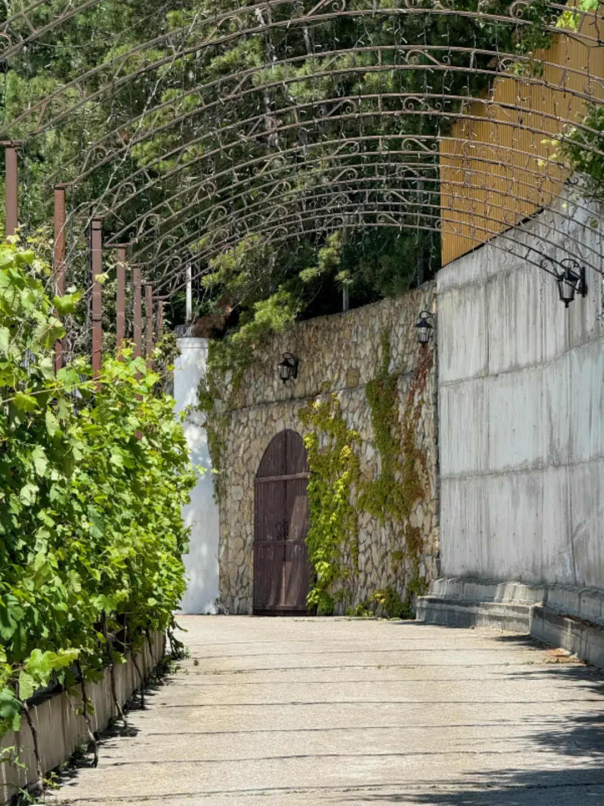 Отель Винтаж