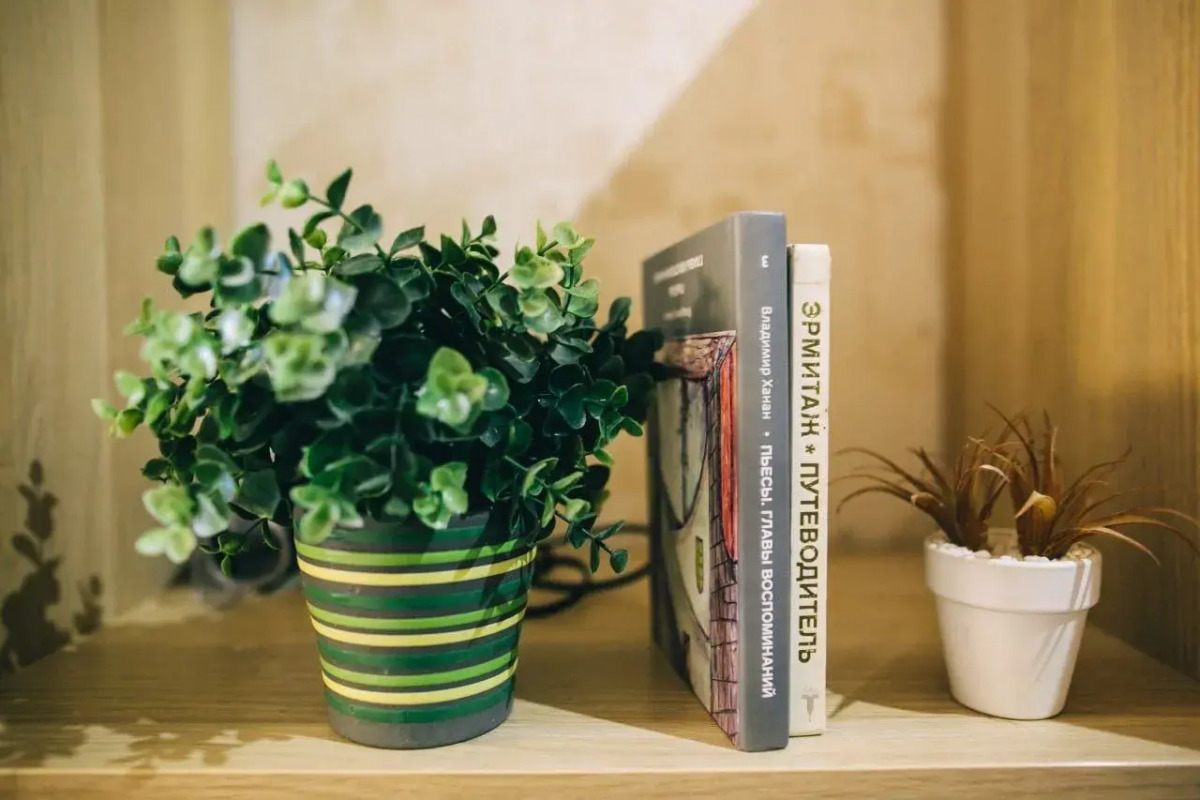 Меблированные комнаты City Room