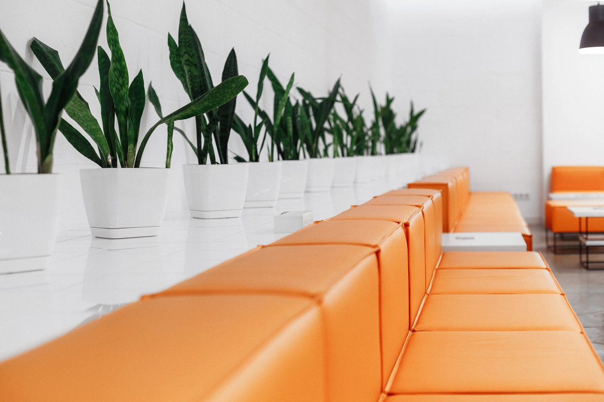 Отель Orange Hotel