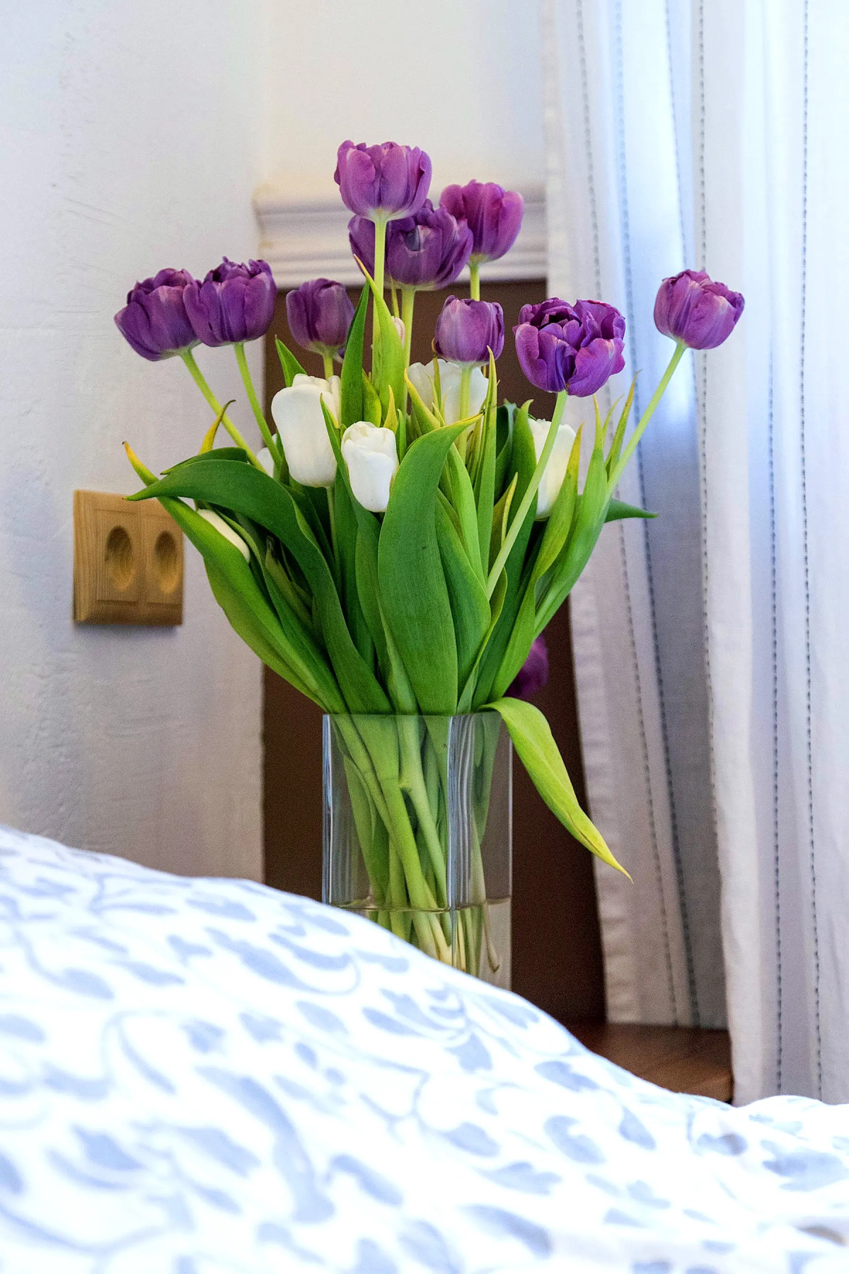 Апартаменты Element 2