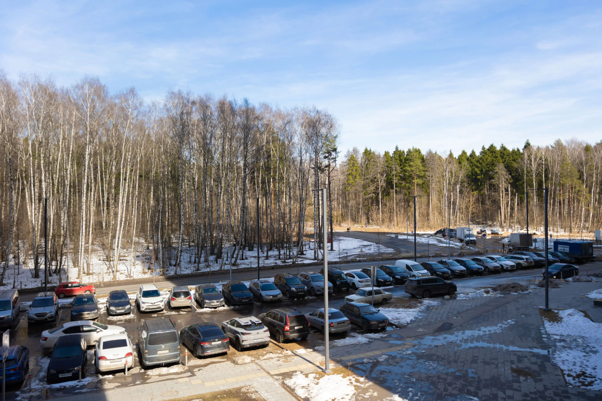 Апартаменты Студия на П. Романова