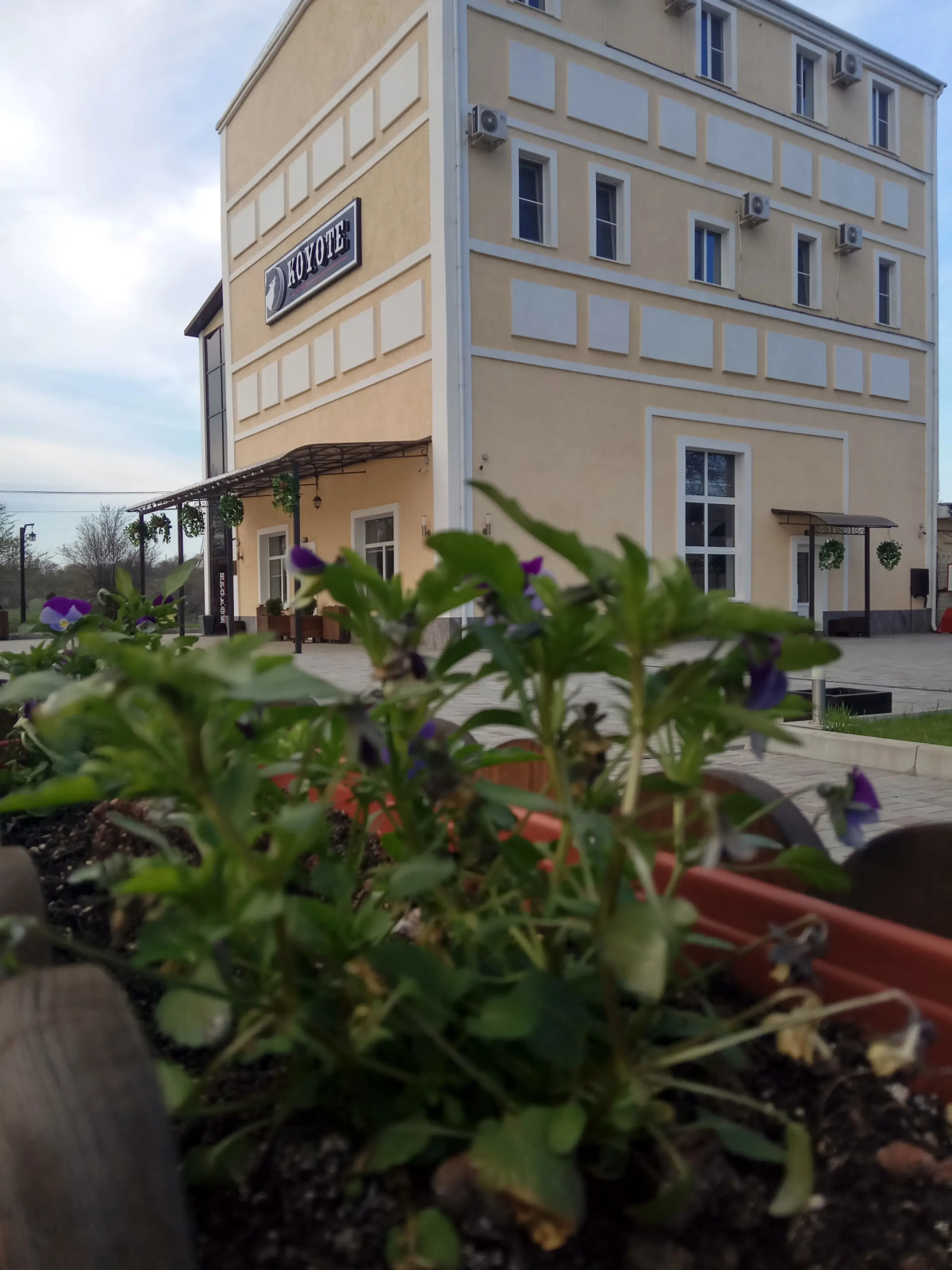 Мини-отель Мотель Koyote ИП Кылчик Д.П.