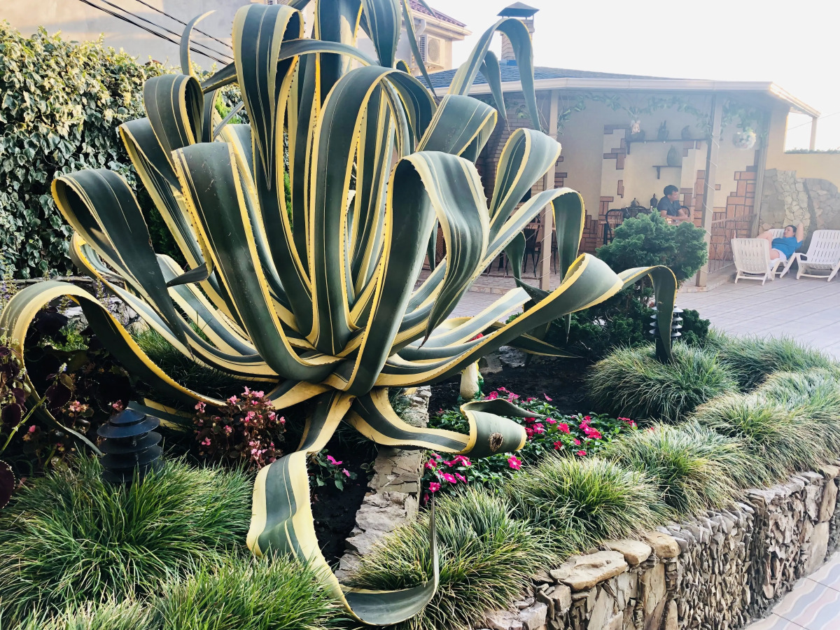 Гостевой Дом Голубая Лагуна