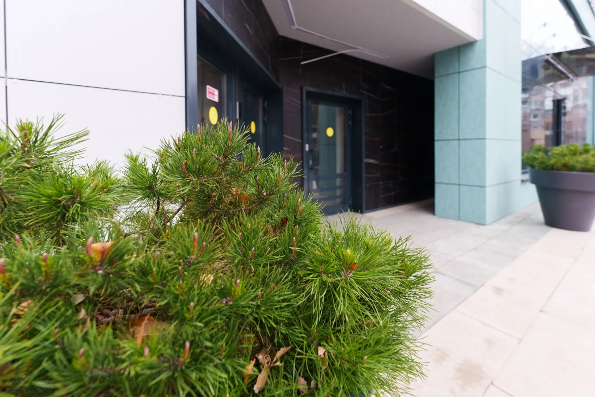 Апартаменты Проспект Масленникова 14а/1 (24)