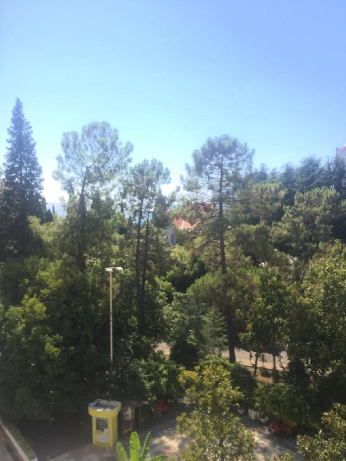 Апартаменты Пальма 5