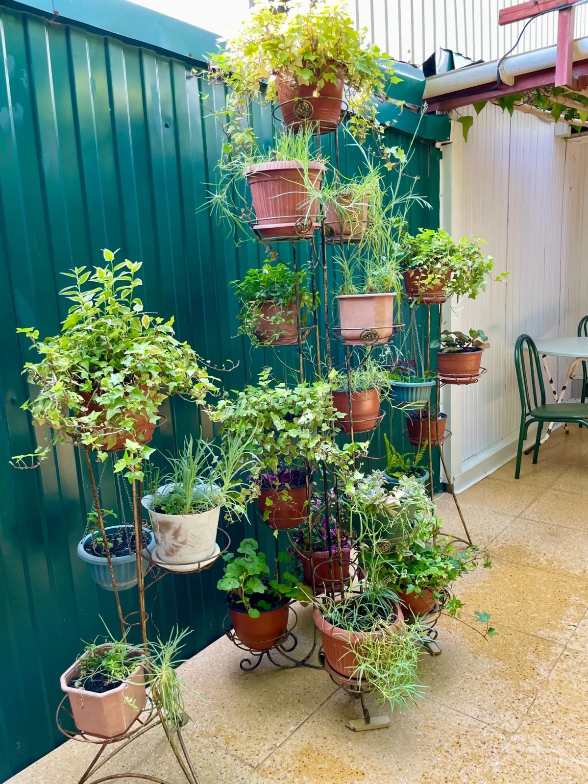 Гостевой дом Ксения у моря