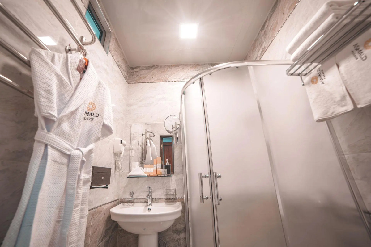 Отель Asmald Palace