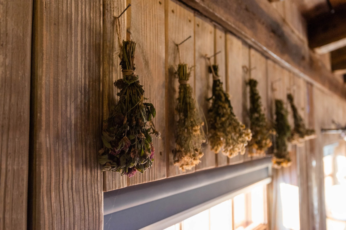 Апартаменты Удивительное Рядом 1