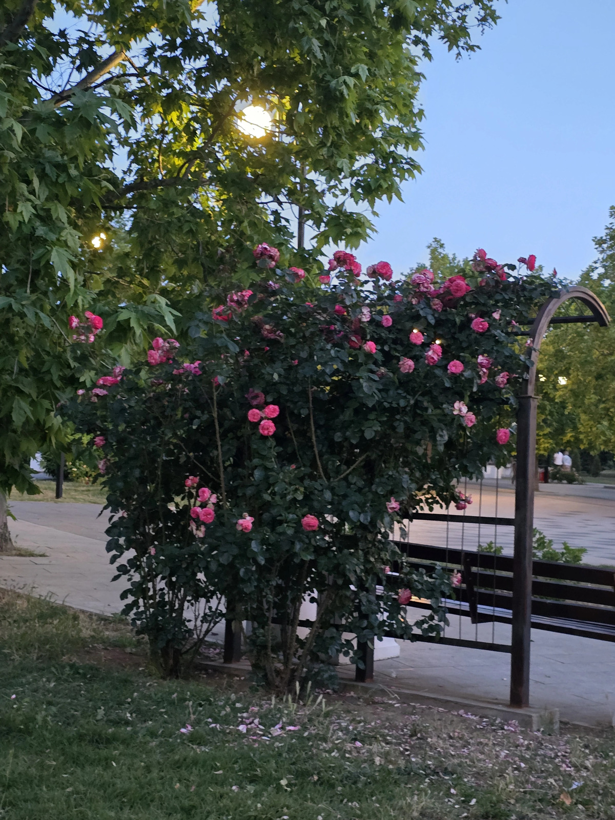 Апартаменты Парк Отель