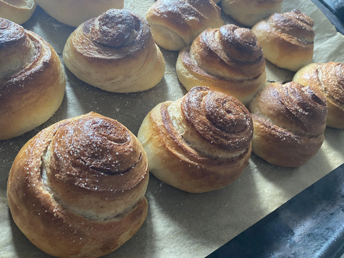 Меблированные комнаты Мещерино