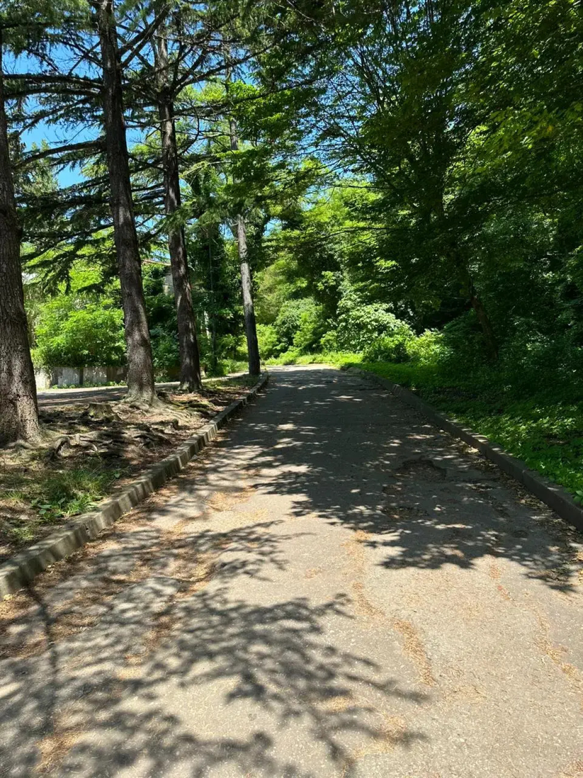 Гостевой дом Пальма Туапсе