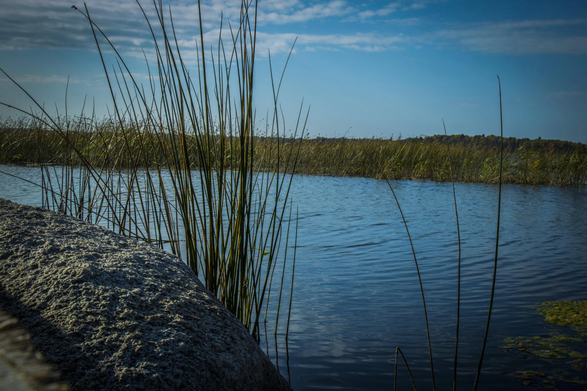 Гостевой дом хутор Скреблово