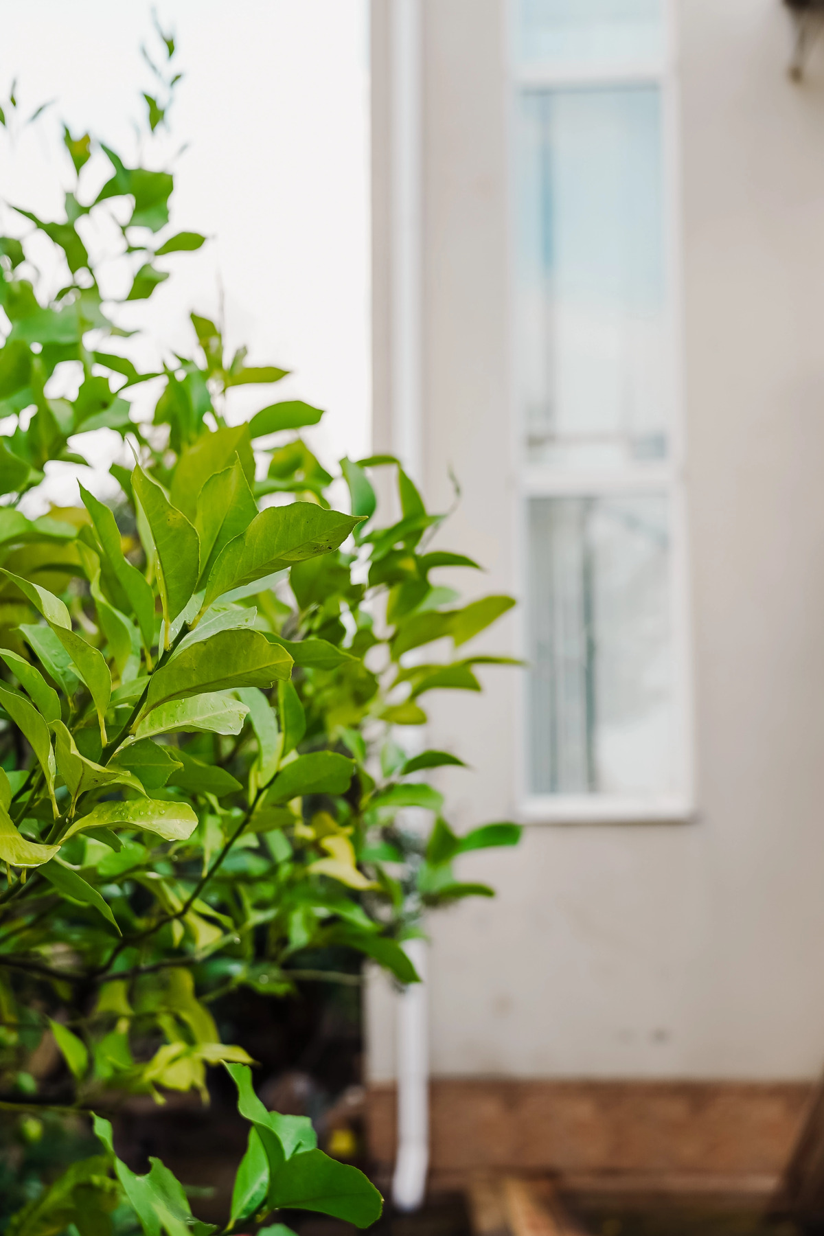 Гостевой дом Мзымта