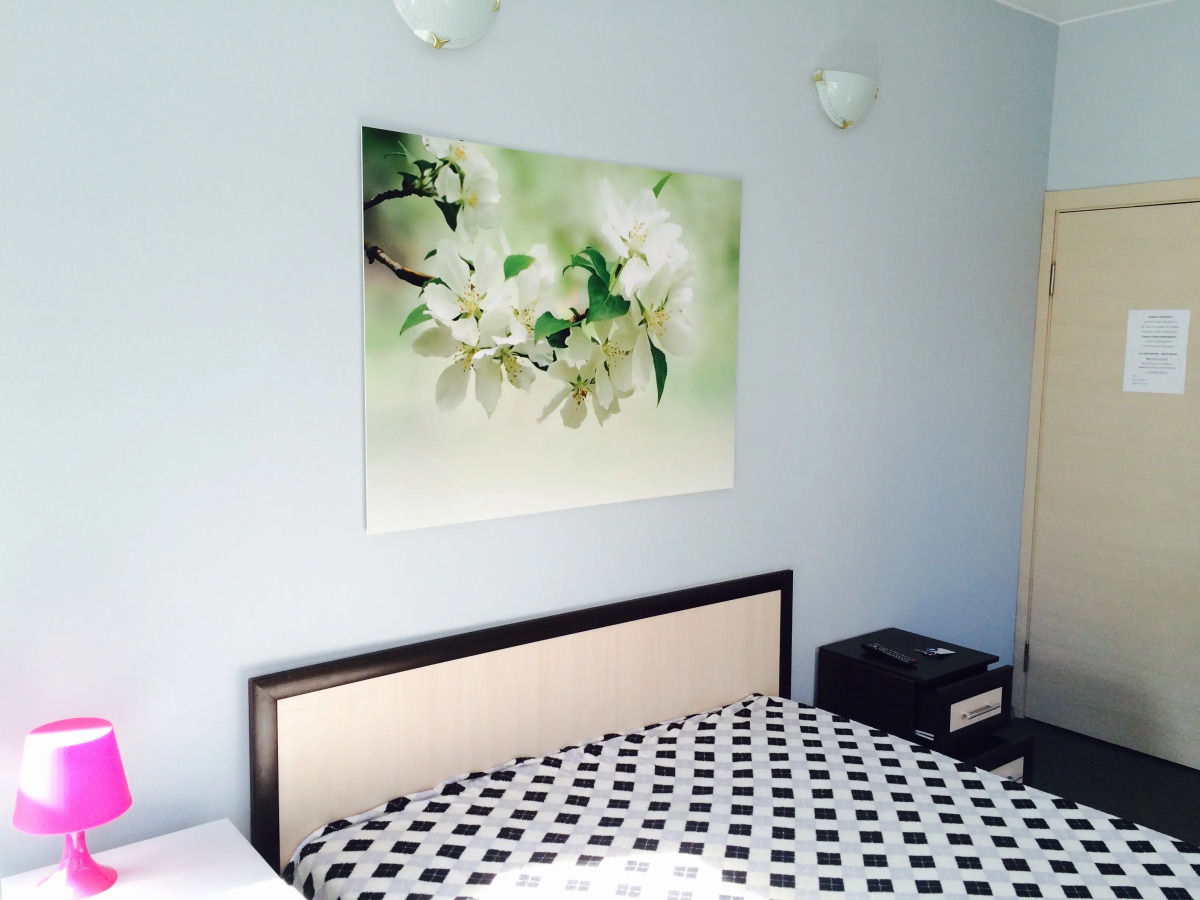 Квартира Капюшон Студия