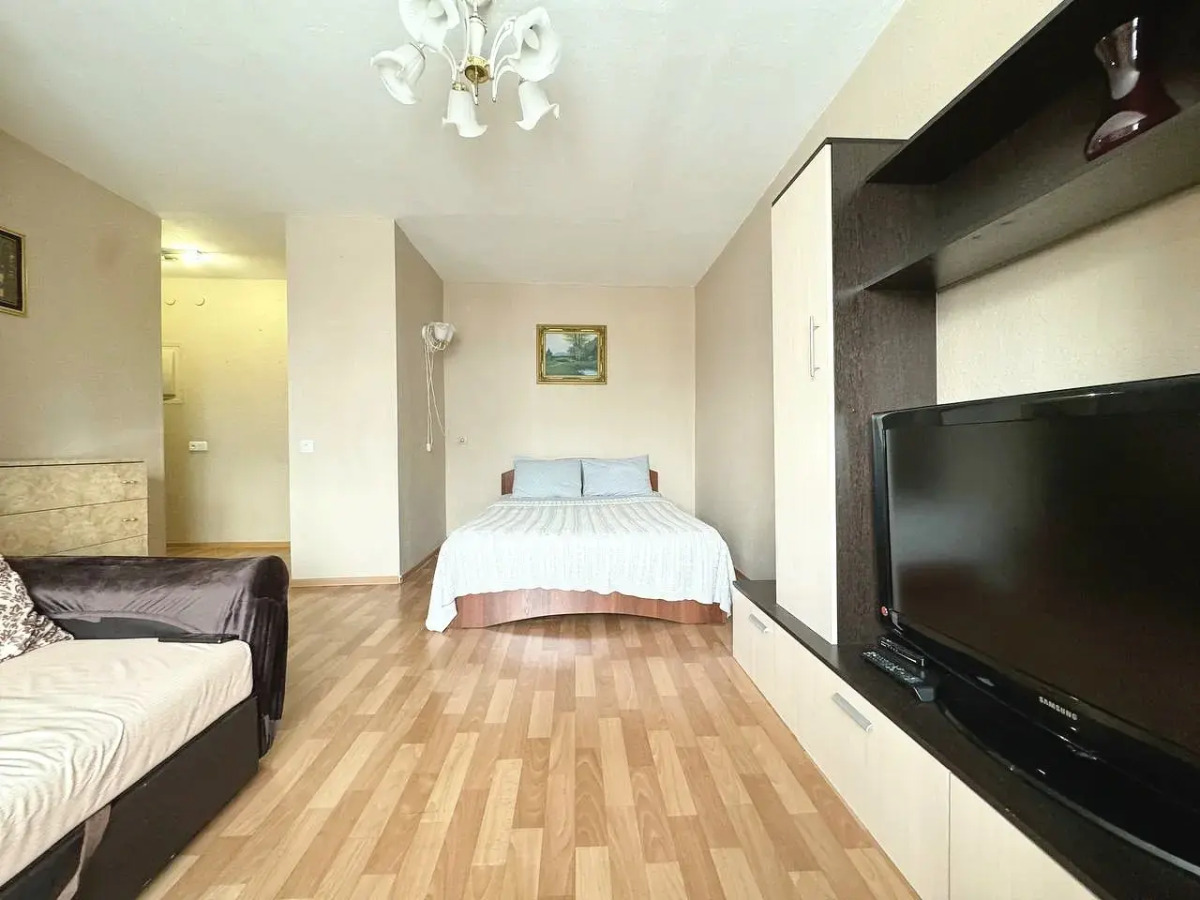 Квартира однокомнатная в центре на Дарвина