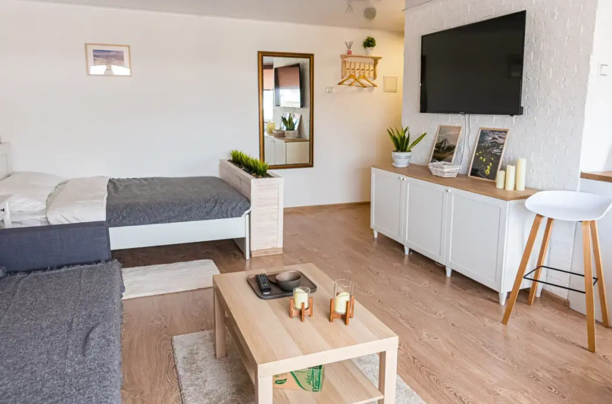 Апартаменты Студия Тушканова 3