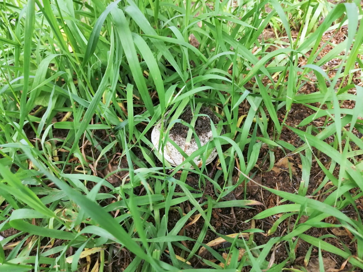 Отель Мудрый Филин