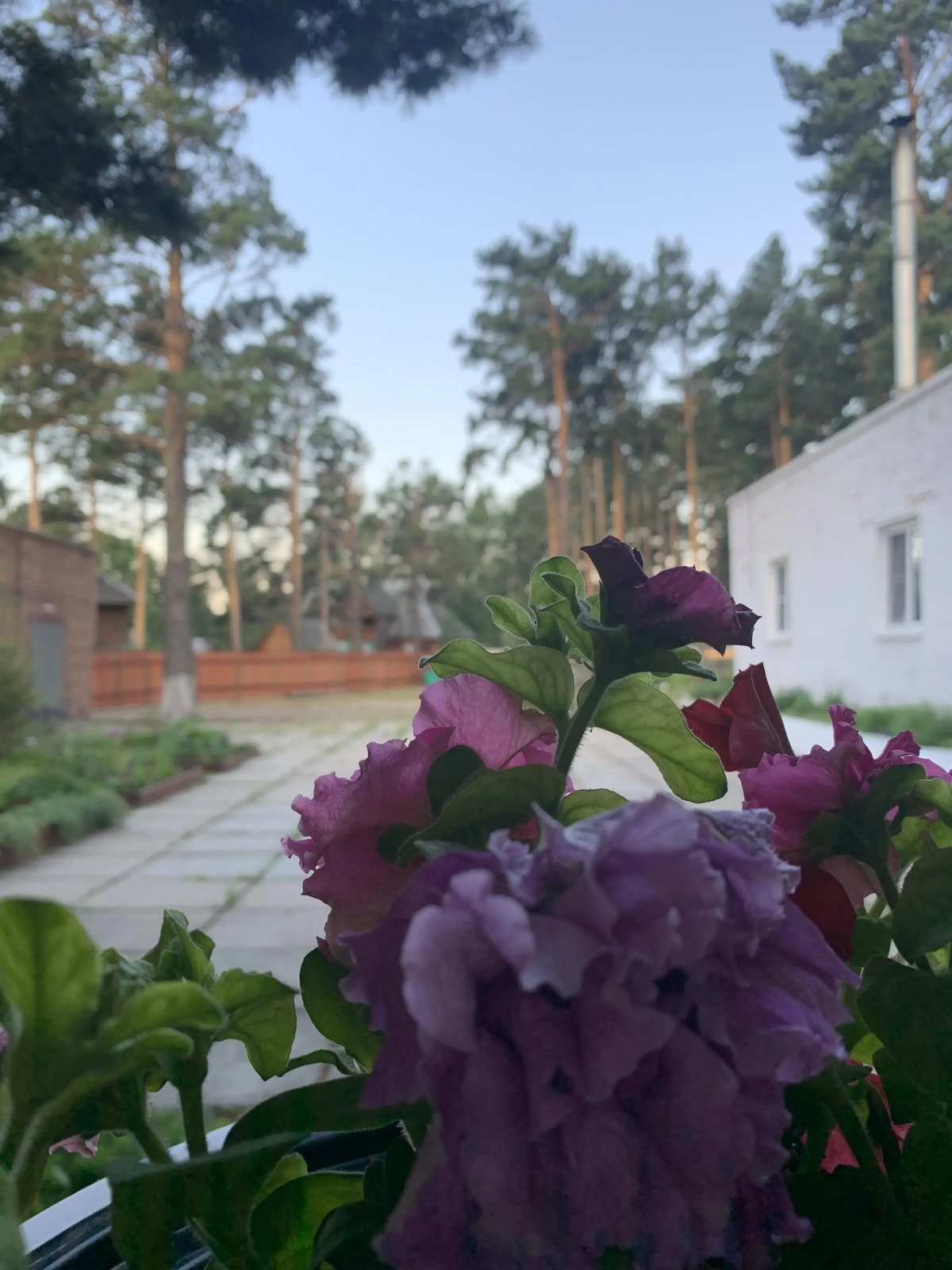 Мини-отель Подснежник