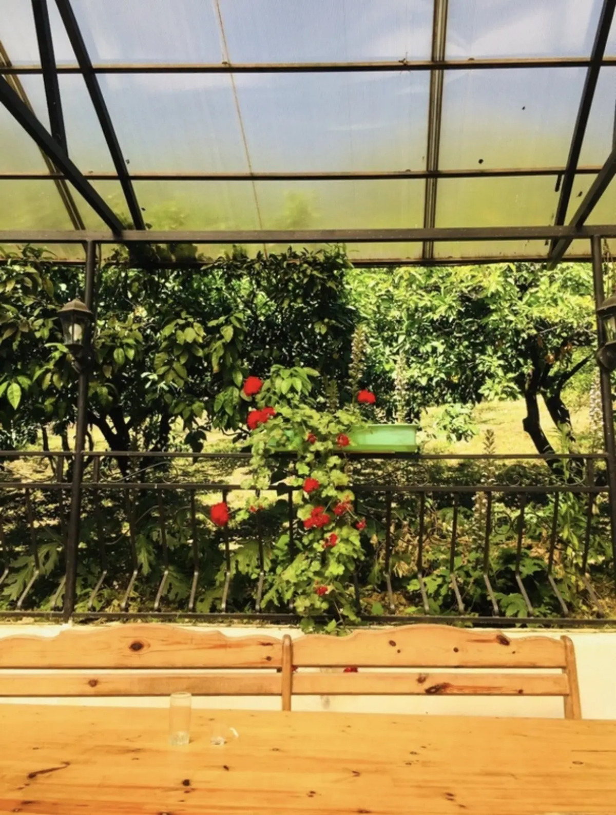 Мини-отель Мандариновый сад