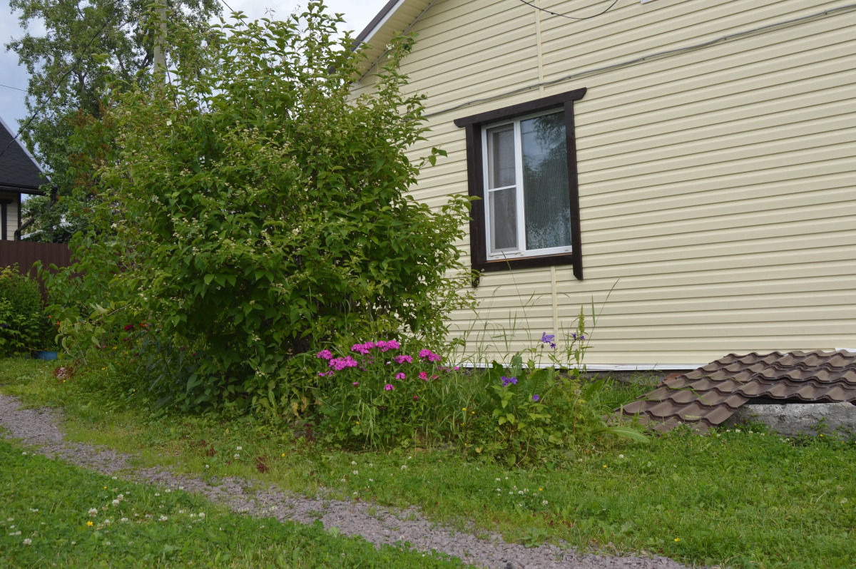 Аппартаменты в Сортавала