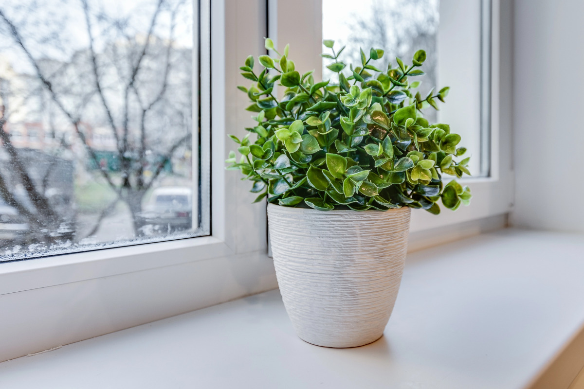 Апартаменты На Комендантском 28