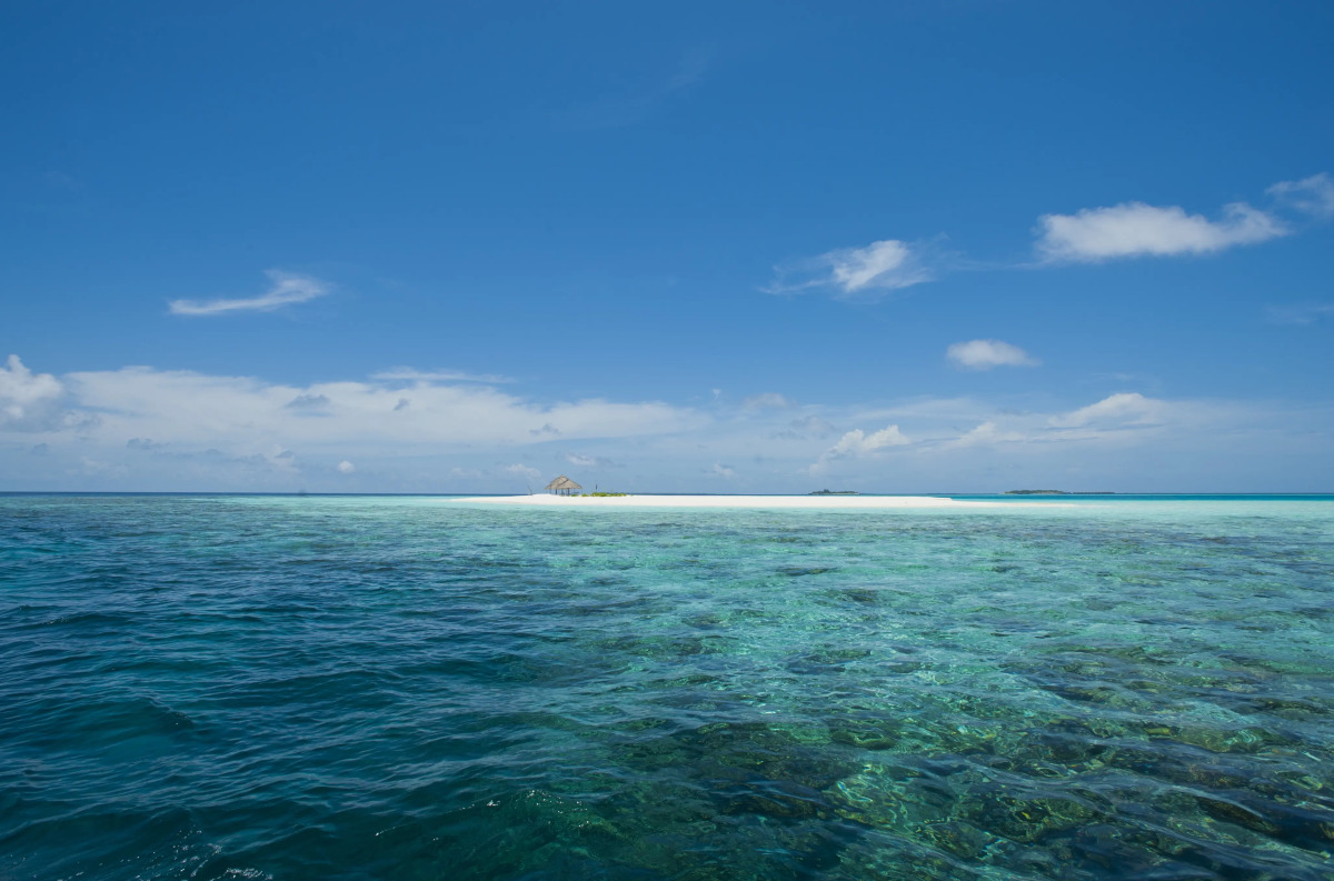 Отель Boutique Beach All Inclusive Diving