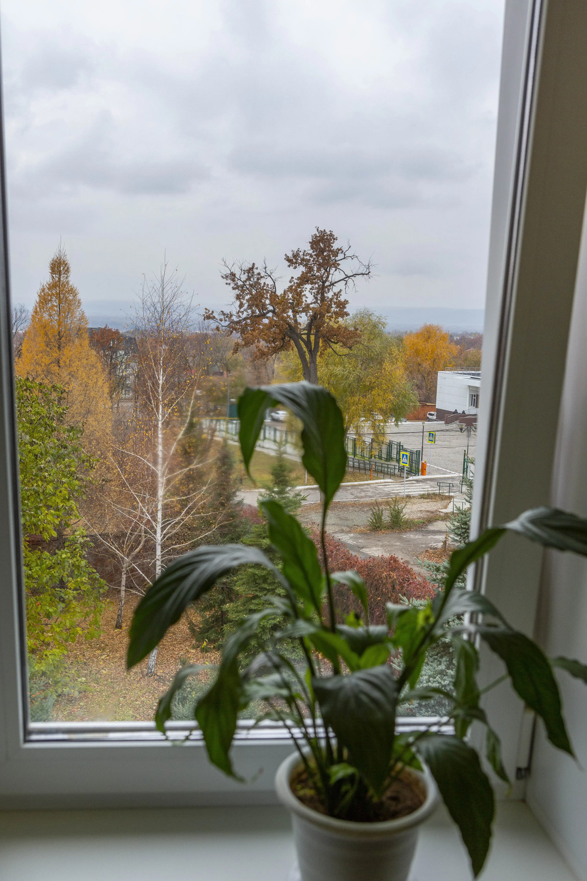 Отель Вип Хаус