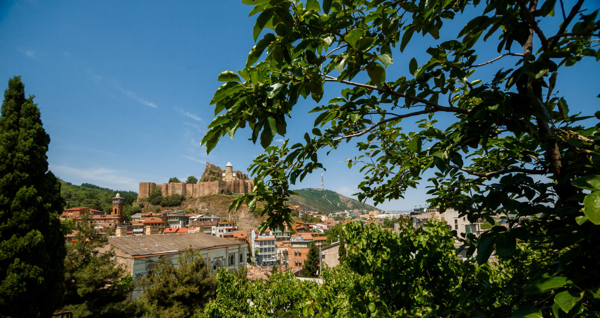 Отель Gvino Minda