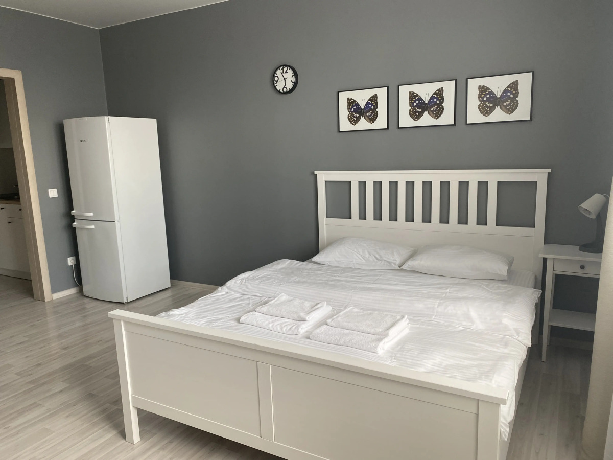 Апартаменты Домант на Фрунзе 49