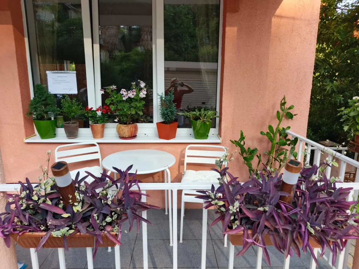 Гостевой дом Бамбуковый Рай