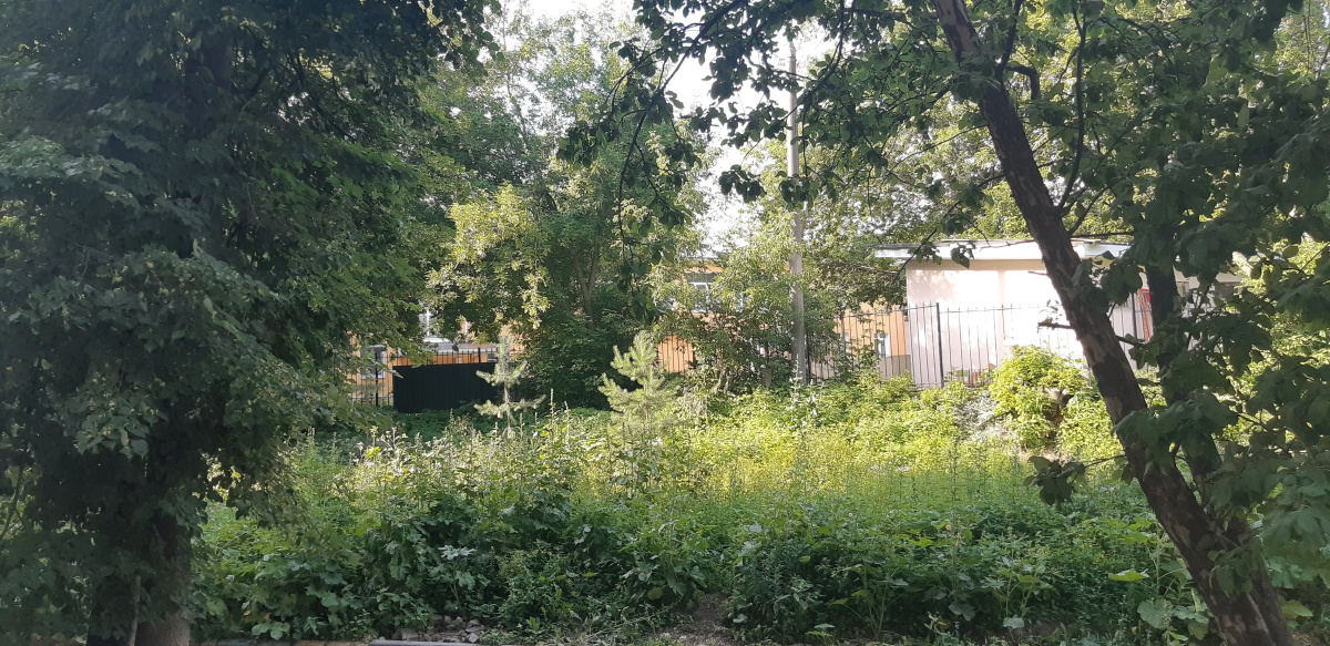 Квартира Esda