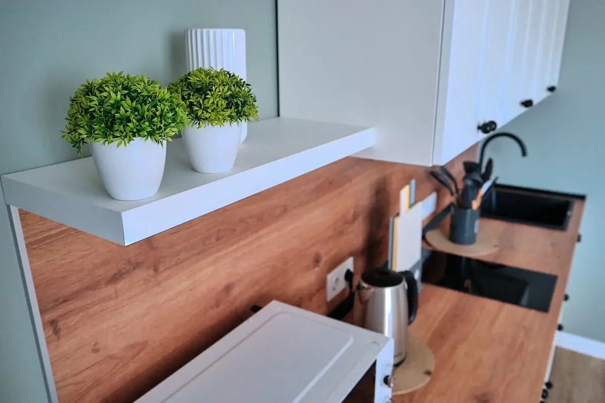 Апартаменты Eco studio