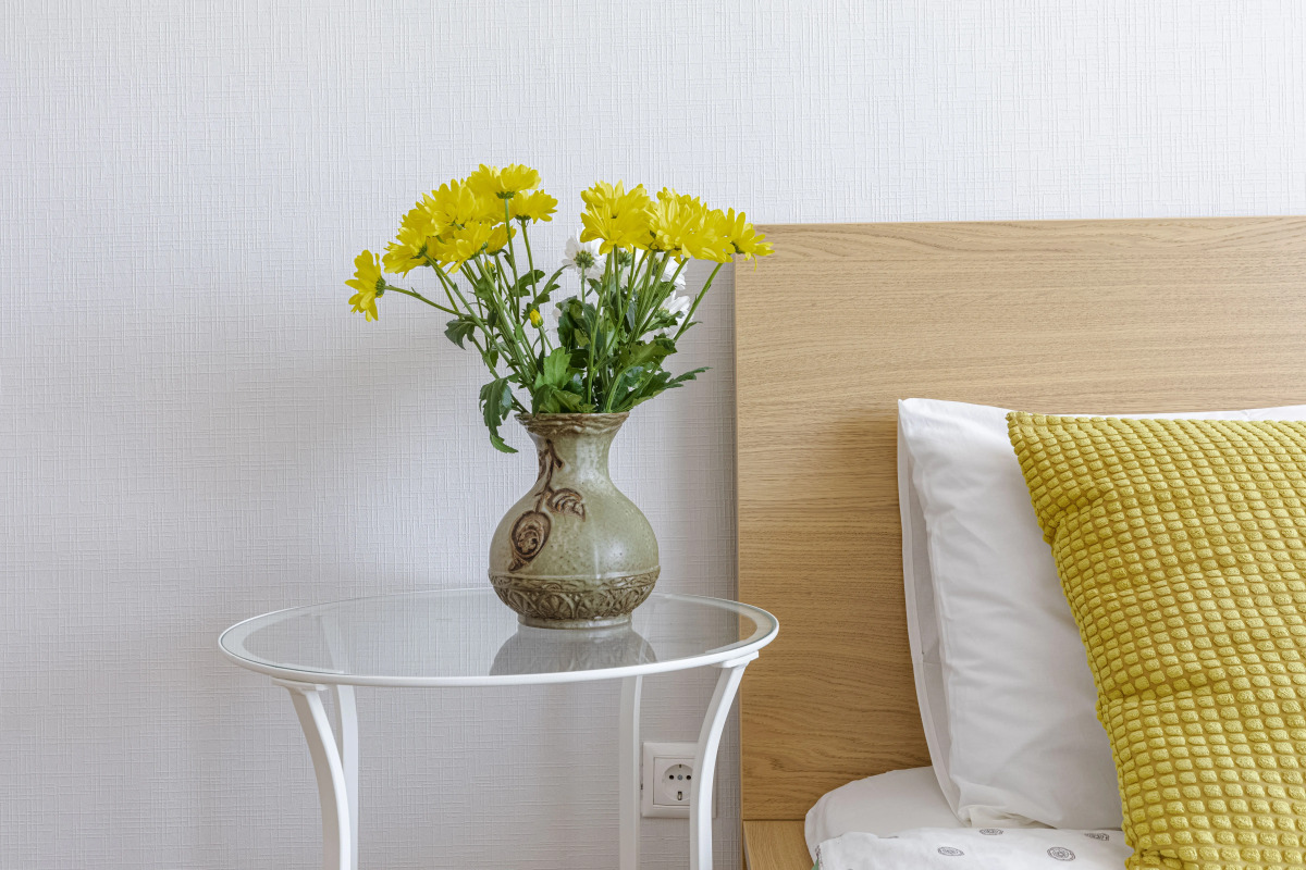 Студия Живи в Песочном Садовая 81