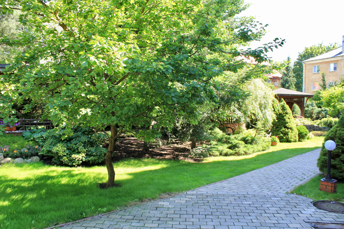 Гостевой дом Черепаха