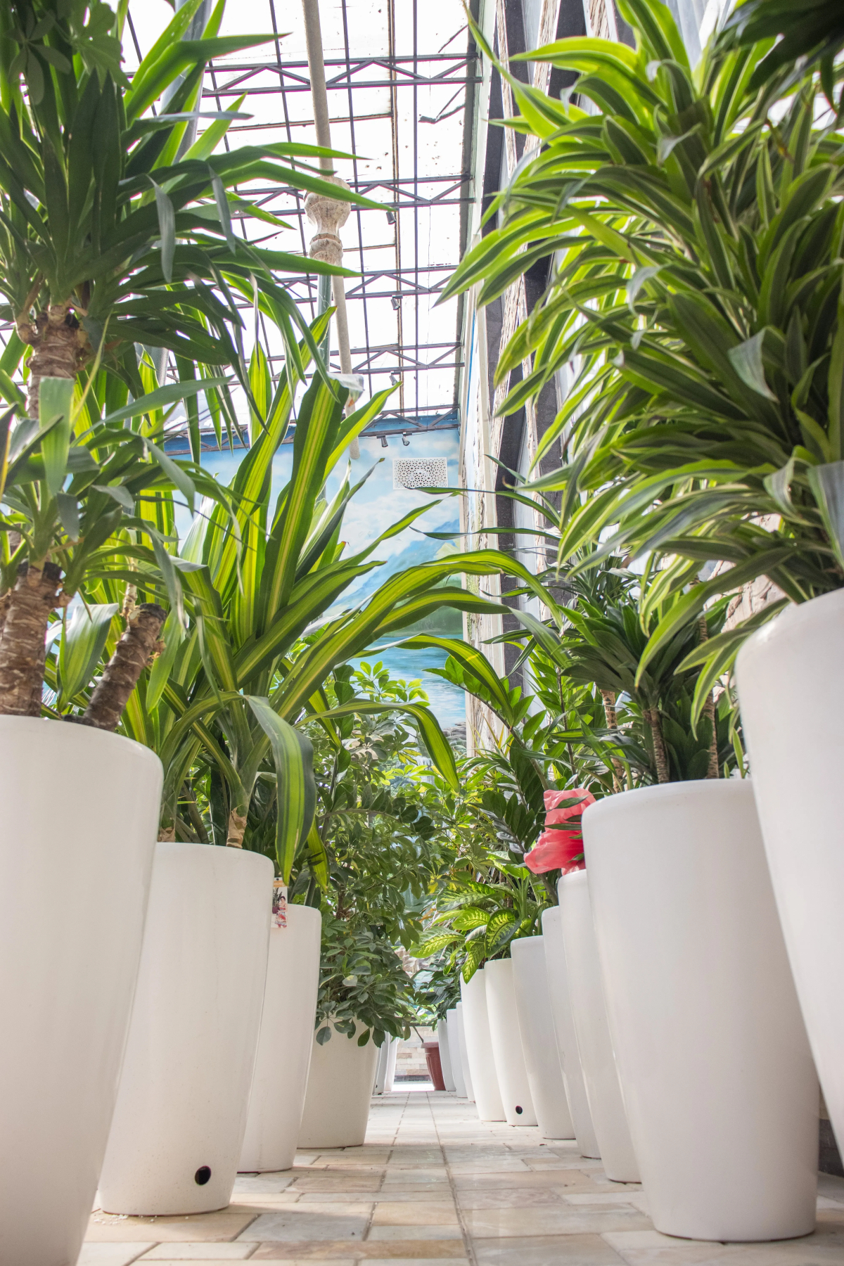 Отель Garden Plaza Bukhara