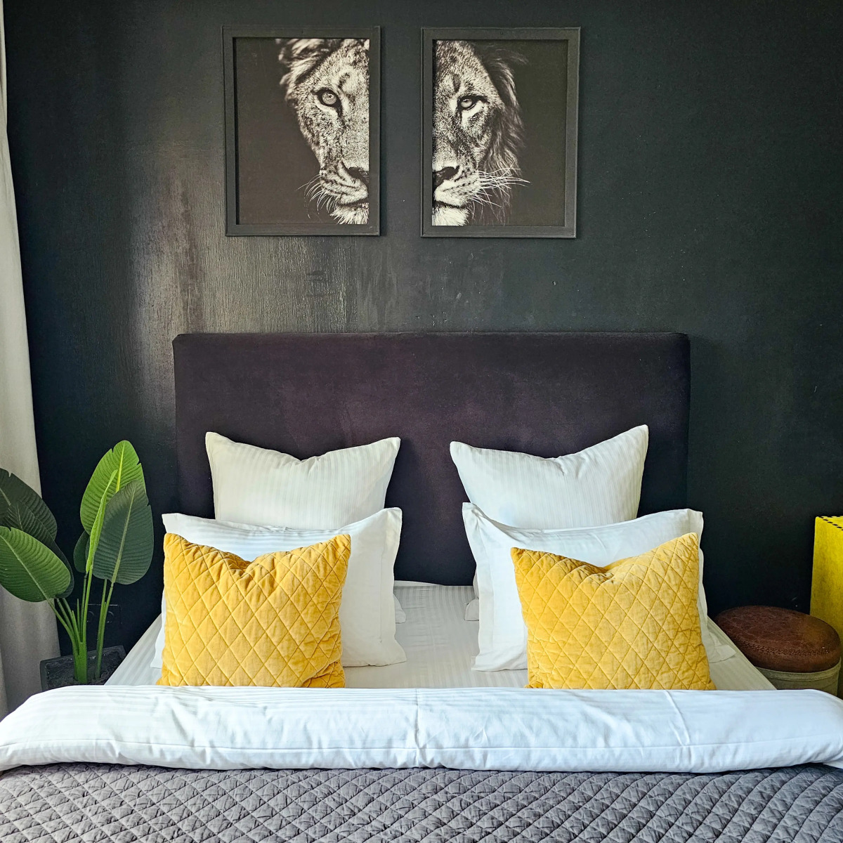 Апартаменты Черная Студия