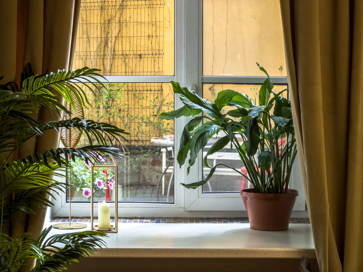 Апартаменты на Пестеля