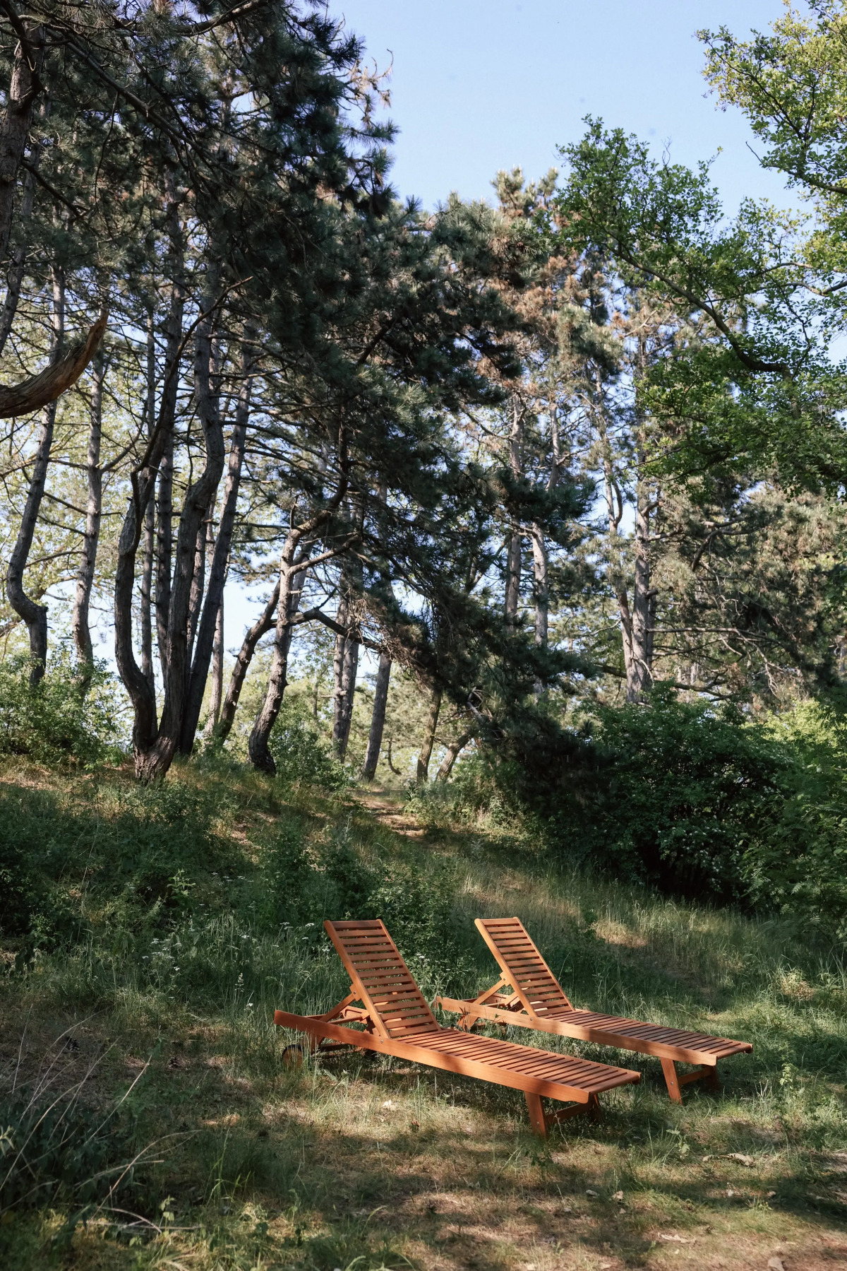 Глэмпинг Викингуд