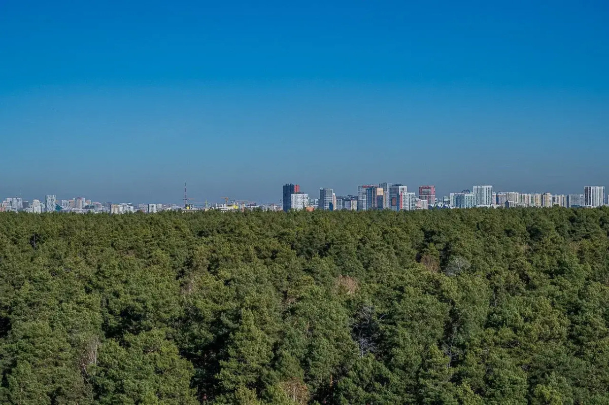 Квартира Великолепная Квартира с Видом на Сосны