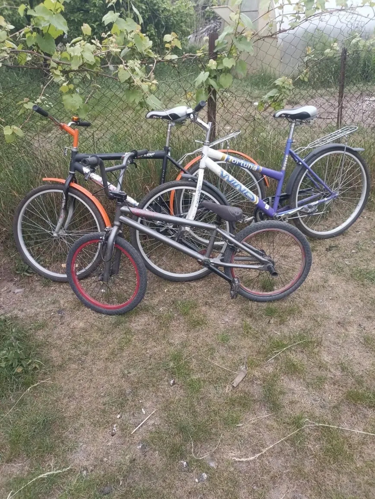 Квартира со своей отдельной огороженной зелёной территорией