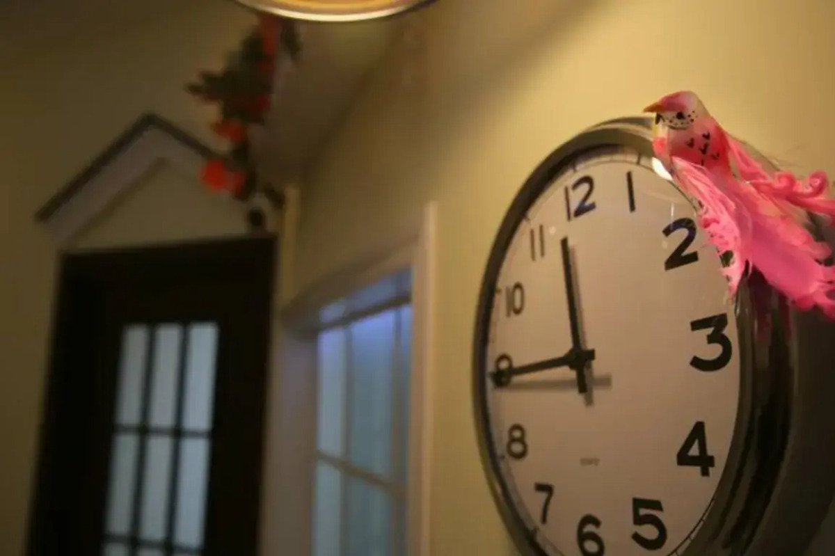 Апартаменты SAMOцвет 12 на Киевской 3