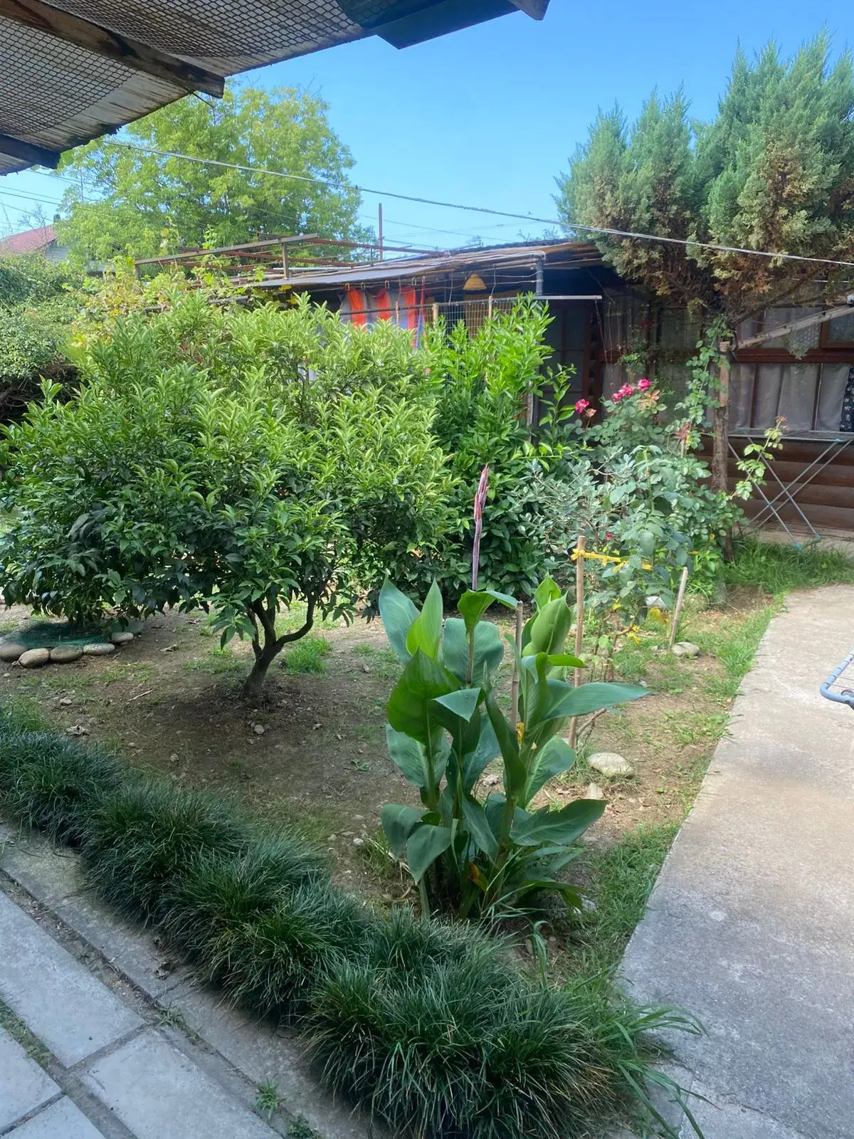 Гостевой Дом Гостевые Домики Гудаута