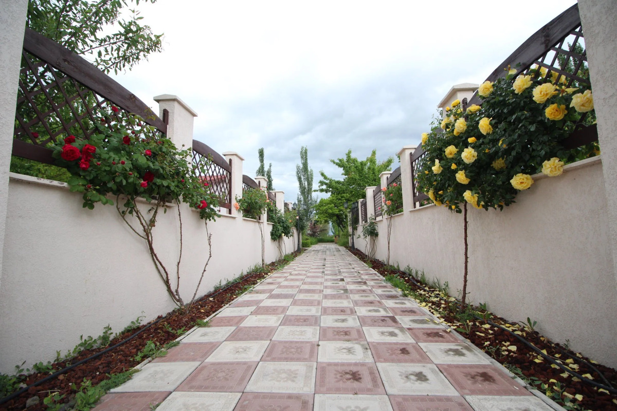 Отель Cross Resort