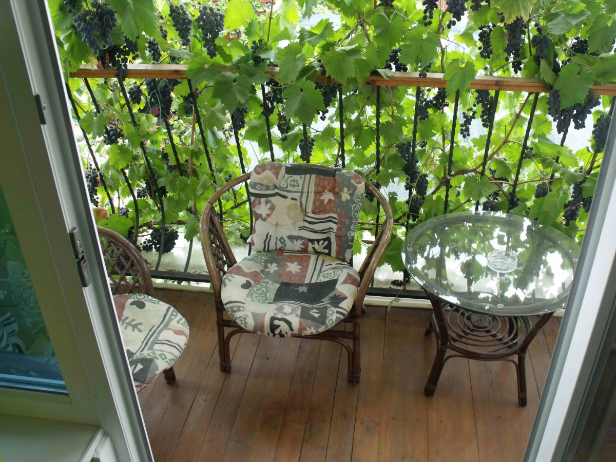 Гостевой дом Триера