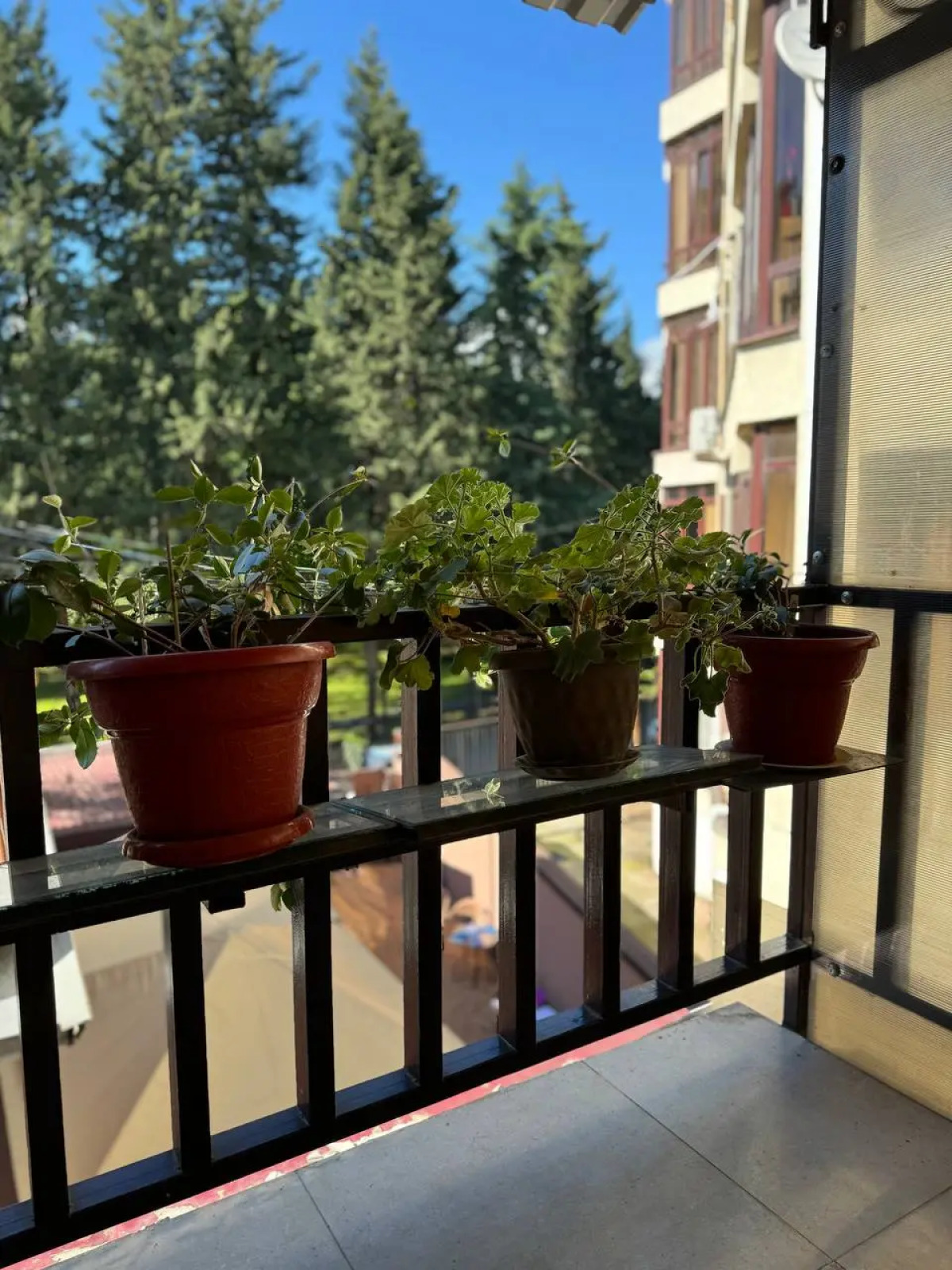 Гостевой дом АидаИда