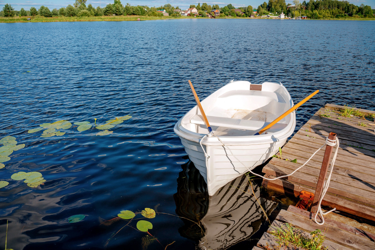 Глэмпинг Носороги